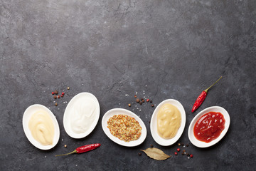 Obraz na płótnie Canvas Set of various sauces. Popular sauces in bowls