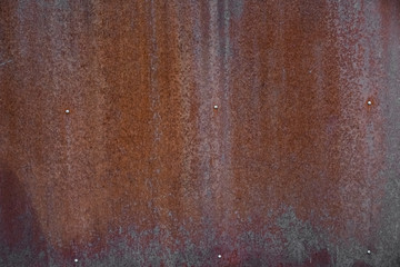 Beautiful rusty metal texture background. Old worn iron door with nails. Close up, copy space