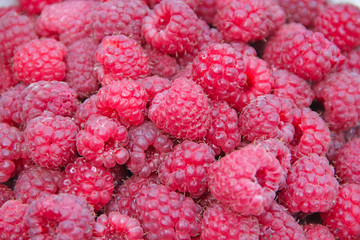 Red berries of raspberry in heap. Pile of ripe berries