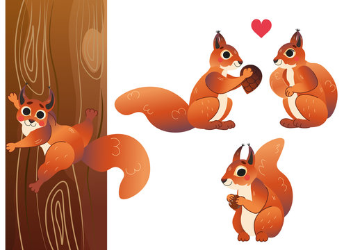 Cute cartoon squirrel vector set. Squirrel in different postures. Forest animals for kids. Isolated on white background