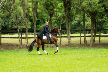 Cavaleiro Medieval andando pelo campo