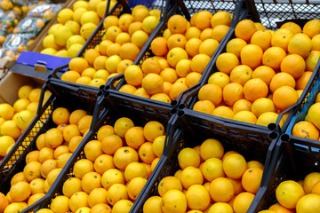 Oranges in the rack at the supermarket