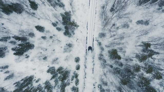 top view of steam train running in winter forest