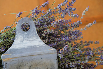 Dry lavender lies on the chimney flap. Bottom view. Aromatherapy.