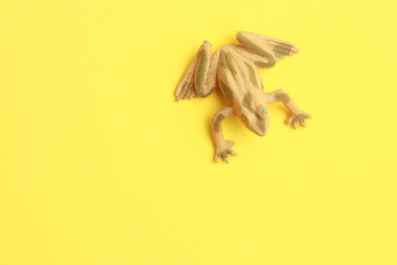 frog shaped rubber toy in color background