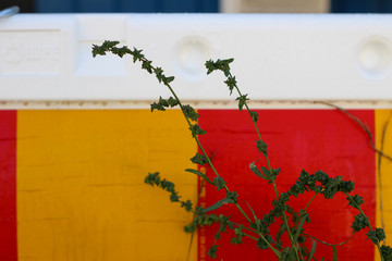 Closeup of red and yellow road stopper fence at a construction site