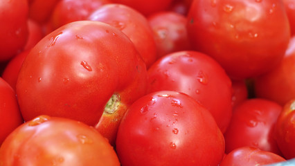 a lot of red tomatoes background. Lots of red ripe appetizing tomatoes background