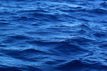 Background. Blue sea surface with small waves.