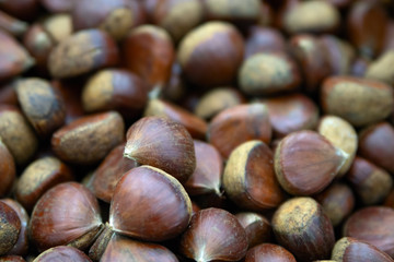 Heap of fresh chestnuts