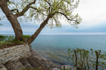 Fototapeta na wymiar waterfront stone steps tree hanging lake 