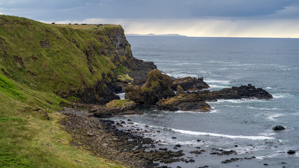 Obraz premium Scenic view of the coast, Giant's Causeway, County Antrim, Northern Ireland, Ireland