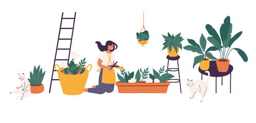 Vector illustration girl taking care of houseplants growing in planters. Young cute woman cultivating potted plants at home. © oxygen_8