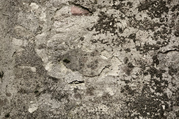 Beautiful vintage background. Abstract grunge decorative stucco wall texture.