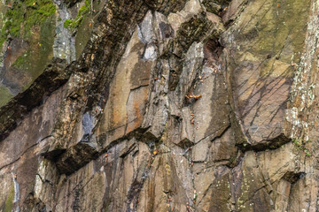 Massive Felswand aus Schiefergestein mit Felsvorsprüngen, grünem Moos, schroffen Kanten und steilen Klippen zeigt ein Kletterparadies für Free Climbing, Kletterer und Wanderer durch felsiges Gebirge