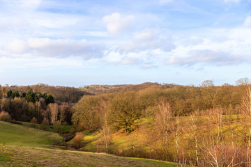 Neandertal bei Erkrath mit schönen Hügeln und herbstlichem Mischwald im Winter zeigt ein Naturschutzgebiet und lädt zum Wandern mit der Familie ein