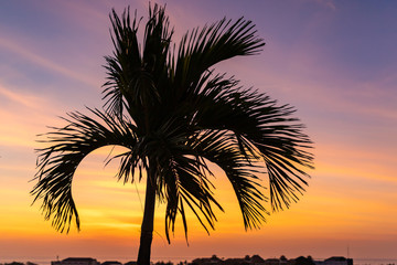 Sunset and tropical palm tree silhouette over Seminyak district with colorful landscape background. Bali island, Indonesia.