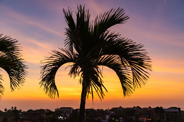 Fototapeta na wymiar Sunset and tropical palm tree silhouette over Seminyak district with colorful landscape background. Bali island, Indonesia.