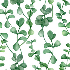 Fototapeta premium Watercolor eucalyptus branches seamless pattern. Hand drawn silver dollar plant with round leaves isolated on white background. Weaving ornament for design, wallpaper, wrapping, cards, home decor