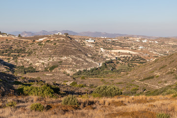 Small mountains, valley and typical  vegetation in Milos