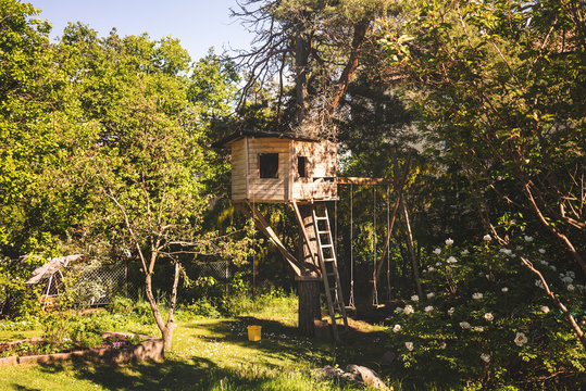 Tree house
