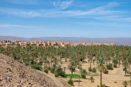 NKotb palm grove in the province of Zagora, in the Atlas Mountains of Morocco