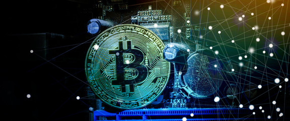 Golden bitcoin and computer video adapter
