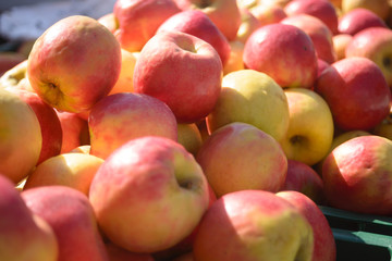 fresh apples at the market