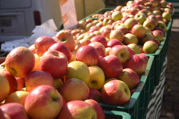 red apples at the market