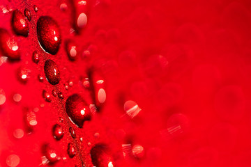 Water drops on a red surface texture