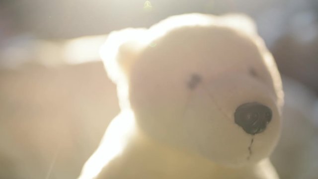 Polar bear stuffed toy in playroom