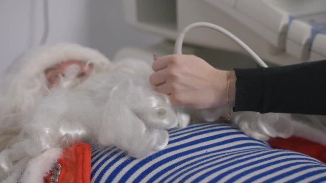 Santa Claus on the doctor diagnostician. Heart ultrasound in the medical clinic.