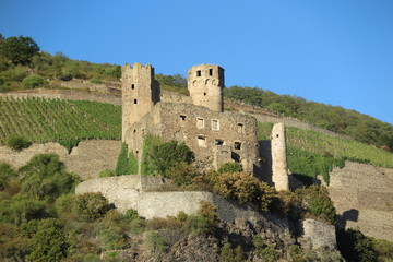 Fototapeta na wymiar Burg Ehrenfels am Rhein bei Rüdesheim