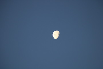 Morning Moon