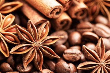 Cinnamon and anise on the background of coffee beans