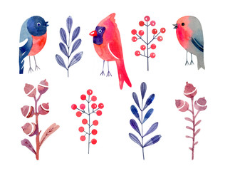 Collection of winter birds, branches, acorns and branches with berries. Watercolor hand drawn illustration. Isolated on white background