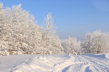 Russian road in winter, after snowfall, tree branches are covered with snow and sparkle in the sun, snowdrifts knee-deep. It is a beautiful winter background.