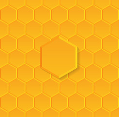 vector illustration of  seamless pattern with honeycombs