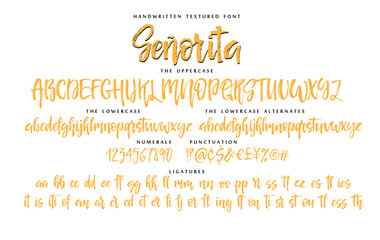 Handwritten script font vector alphabet Senorita set