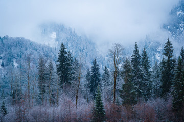 Berge und Wald im Schnee - Winter in den Alpen