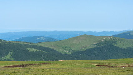 Blick &uuml;ber das gr&uuml;ne Transalpina Gebirge in den rum&auml;nischen Karpaten im Sommer