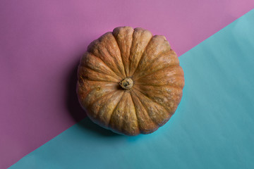 Orange Decorative Pumpkin On A Double diagonal pink and blue Paper Background With Reflection Of Shadows And A Copy Of Prostration. Top View