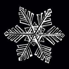 Cute snowflake. Vector freehand drawing