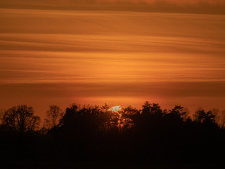 Fototapeta na wymiar Sonnenuntergang hinter den Bäumen