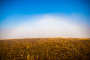 Fototapeta premium Morning fog