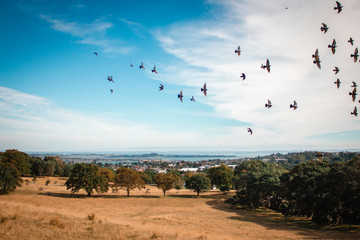 Panoramic view from the hill