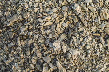 Small limestone stones lie underfoot. Walk along the limestone quarry.