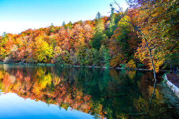 Autumn landscape in Plitvice Park, Croatia