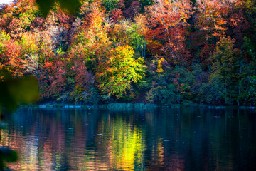 Autumn landscape in Plitvice Park, Croatia