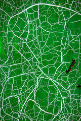 green door with leaf pattern