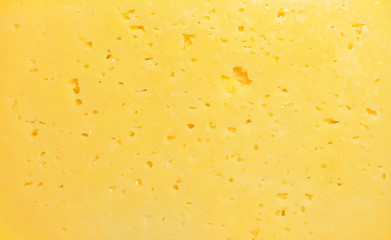 Cheese texture. Background of fresh yellow cheese with holes - 310051453